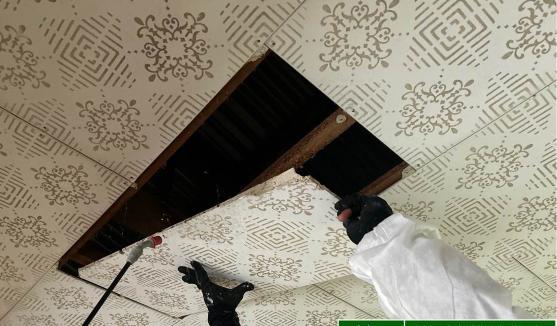 信頼できるアスベスト調査会社の選び方